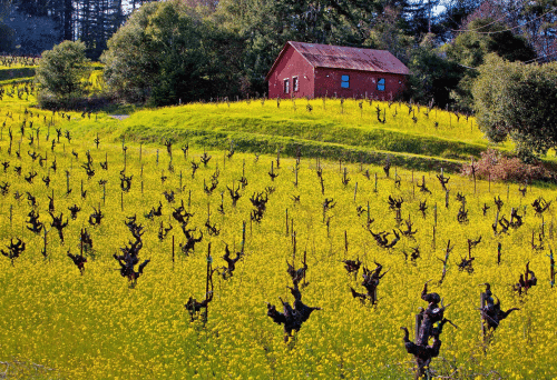 California Wine Country | I-5 Exit Guide
